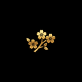 Besondere Anlässe - goldene Kirschblüte auf schwarzem Hintergrund